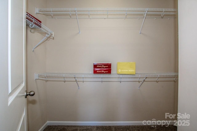 walk in closet featuring carpet floors