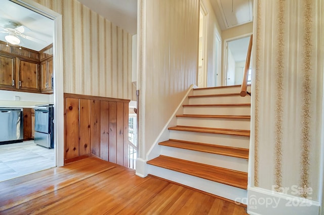 stairway with attic access, wood finished floors, a ceiling fan, and wallpapered walls