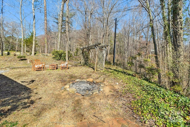 view of yard featuring a wooded view