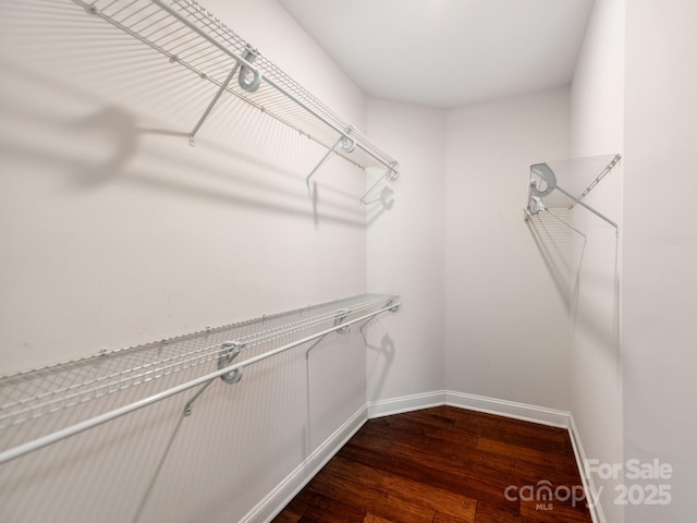 walk in closet with dark wood-style floors