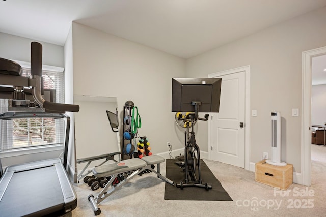 workout area featuring baseboards and carpet