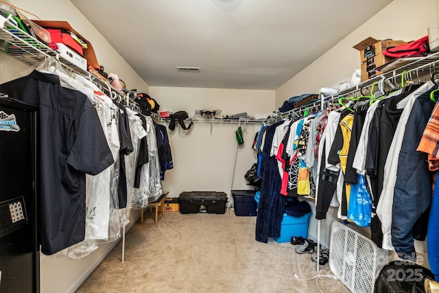 spacious closet featuring carpet floors