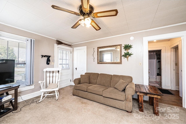 carpeted living room featuring a ceiling fan, crown molding, and baseboards