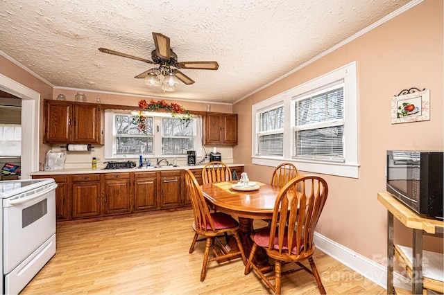 kitchen featuring white electric range, light countertops, light wood-style flooring, and crown molding