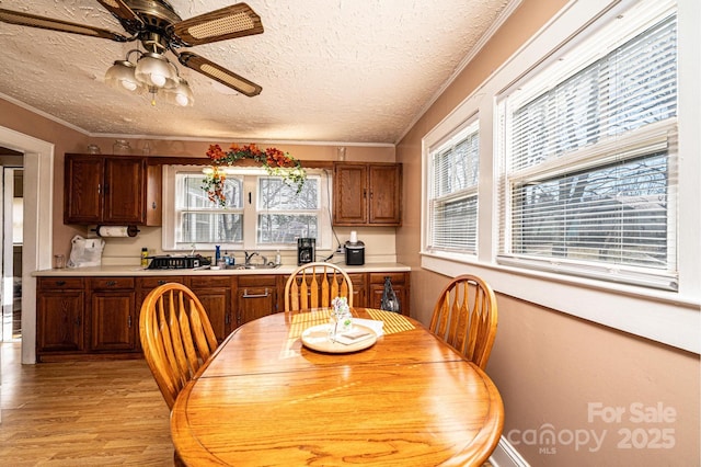 dining room with ornamental molding, ceiling fan, light wood-style flooring, and a textured ceiling