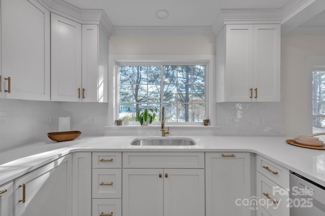 kitchen featuring crown molding, tasteful backsplash, white cabinetry, a sink, and dishwasher