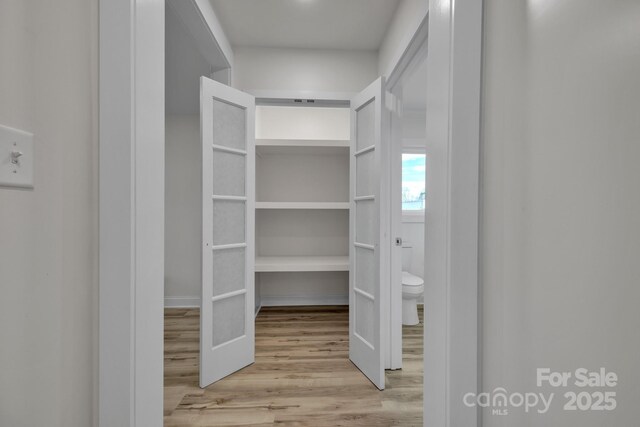 spacious closet featuring wood finished floors