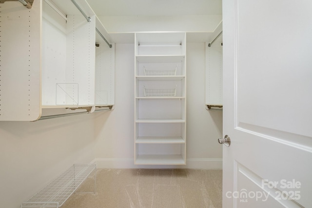 walk in closet with carpet