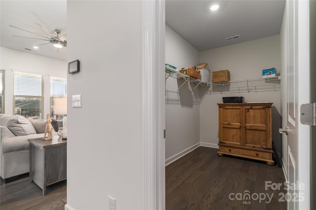 spacious closet featuring ceiling fan, dark wood-type flooring, and visible vents