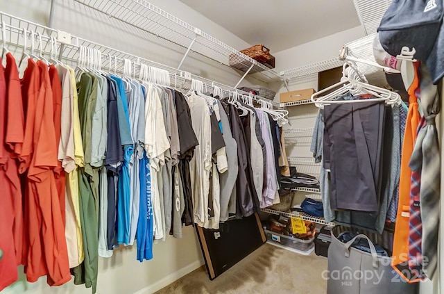 view of spacious closet