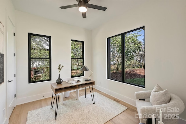 office area featuring light wood-type flooring, ceiling fan, and baseboards