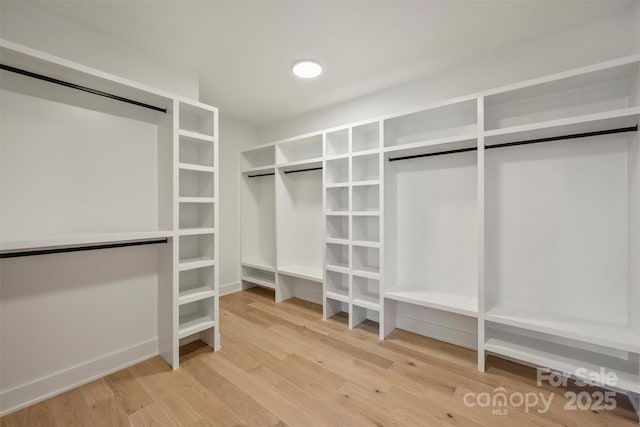 spacious closet featuring wood finished floors