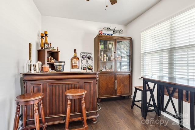 bar featuring a bar, ceiling fan, and dark wood-type flooring