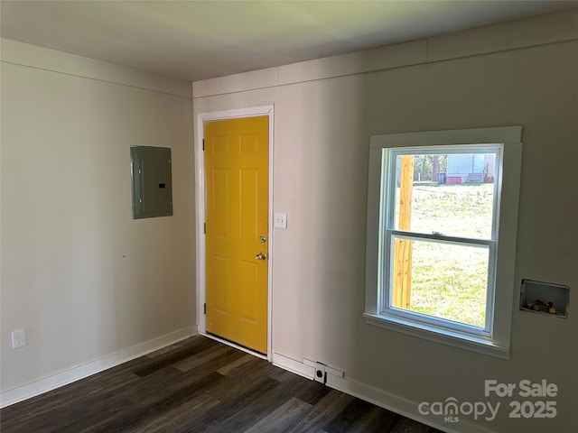 interior space featuring electric panel, baseboards, and dark wood-style flooring