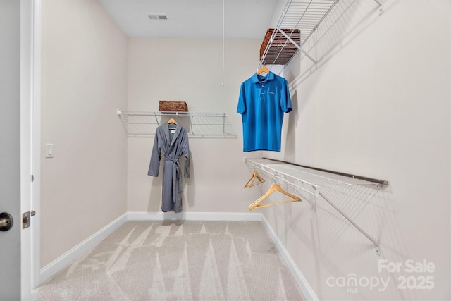305 Basil Dr, Indian Trail, NC 28079 - walk in closet with carpet flooring