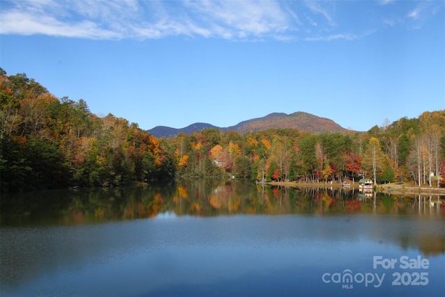 Listing photo 3 for 000 Raven Blvd Unit 65, Lake Lure NC 28746