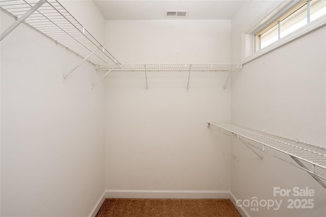 spacious closet featuring carpet floors and visible vents