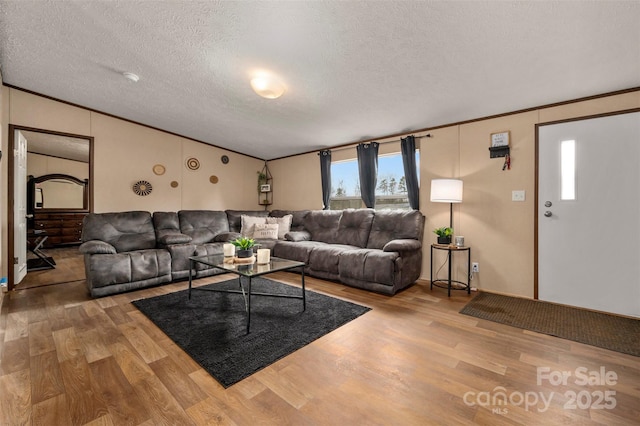 living area featuring crown molding, a textured ceiling, and wood finished floors