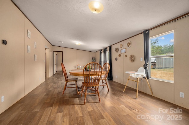 dining room with crown molding, a textured ceiling, and wood finished floors