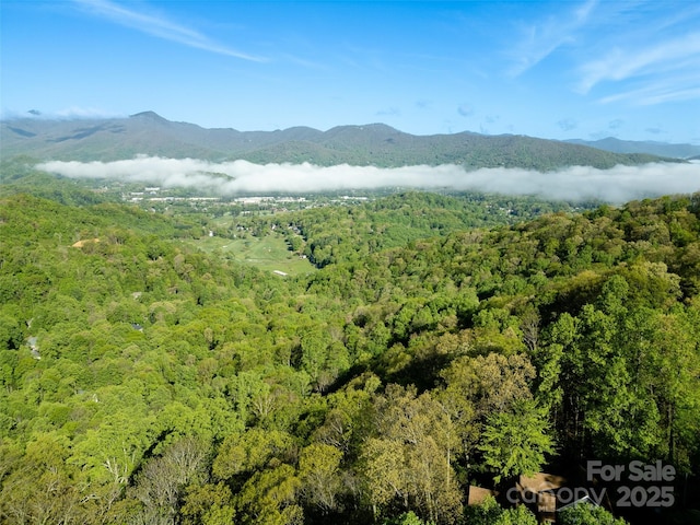 00 Sanctuary Dr Unit 13, Waynesville NC, 28786 land for sale