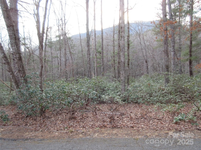 LOT50 Huntington Rd, Lake Lure NC, 28746 land for sale