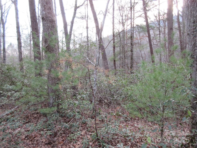 Listing photo 3 for LOT50 Huntington Rd, Lake Lure NC 28746