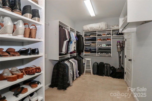 spacious closet with carpet