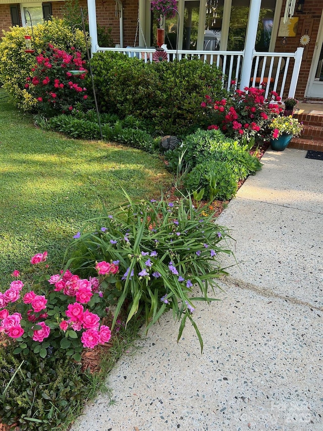 view of yard featuring covered porch