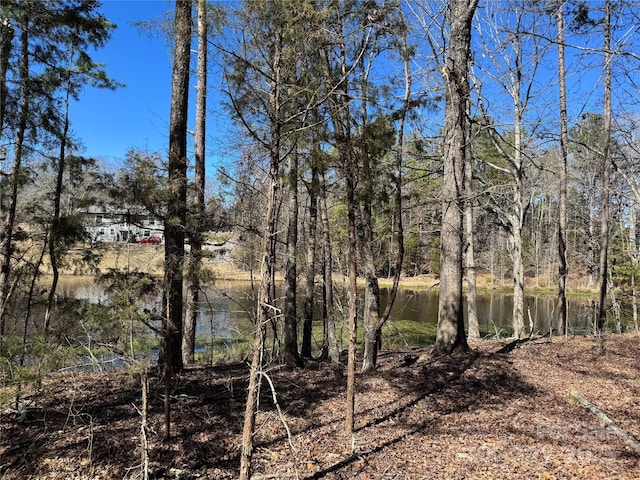 Listing photo 3 for 1905 Bechtler Rd, Edgemoor SC 29712