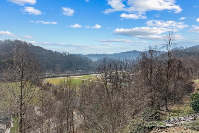 property view of mountains with a forest view