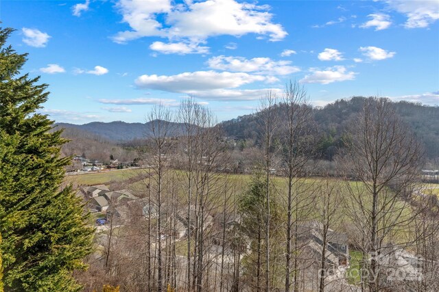 property view of mountains featuring a wooded view