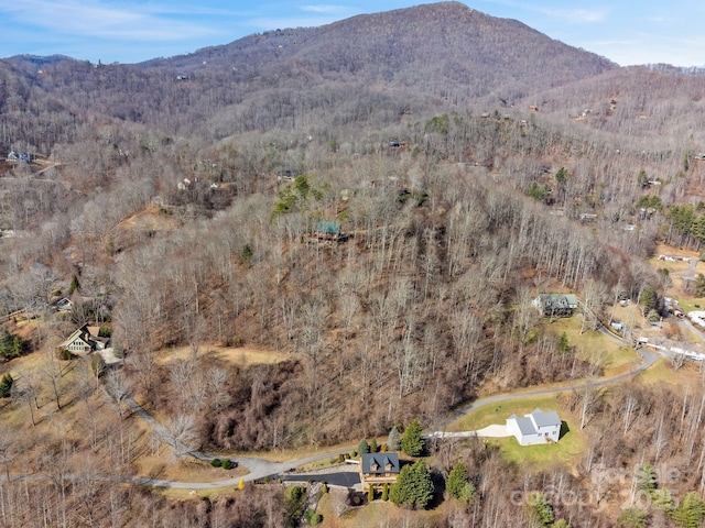 birds eye view of property with a forest view and a mountain view