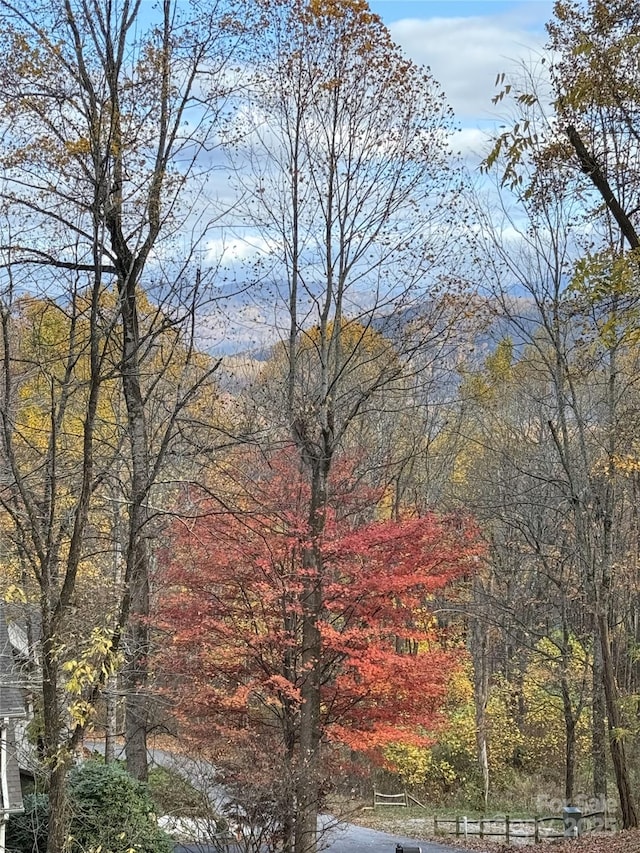 view of mountain feature featuring a forest view