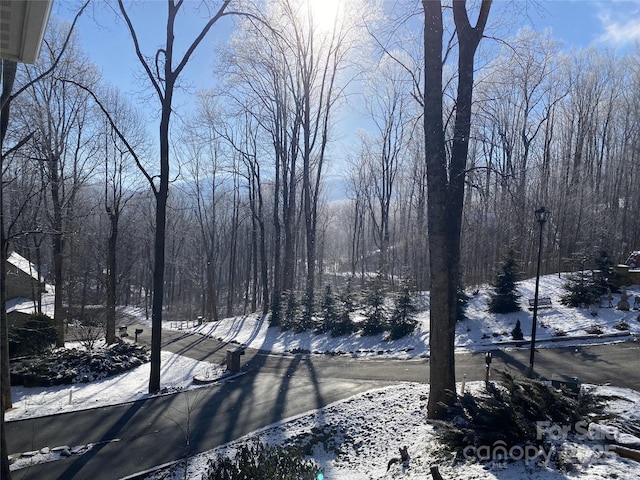 view of street featuring a wooded view and street lights