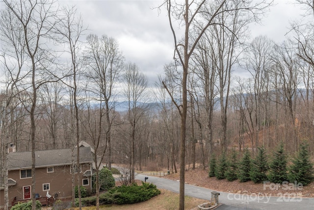 view of yard featuring a wooded view