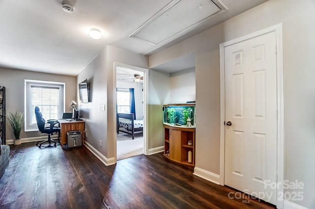 office space with attic access, baseboards, and dark wood-style flooring