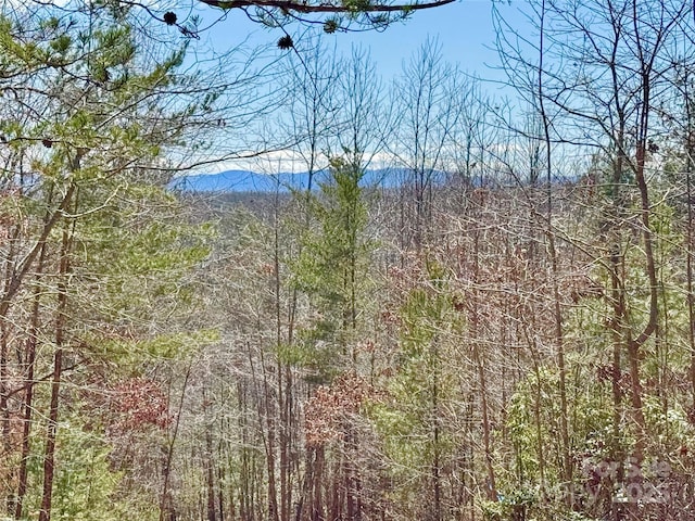 Listing photo 2 for LOT837 High Valley Way Lot 837, Lenoir NC 28645