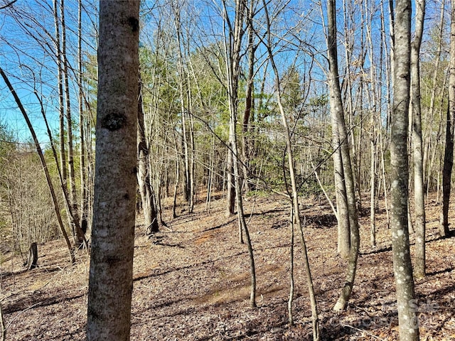 Listing photo 3 for LOT837 High Valley Way Lot 837, Lenoir NC 28645