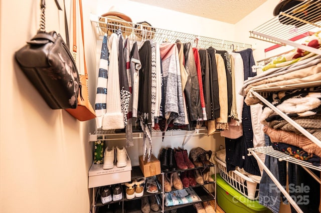 view of spacious closet