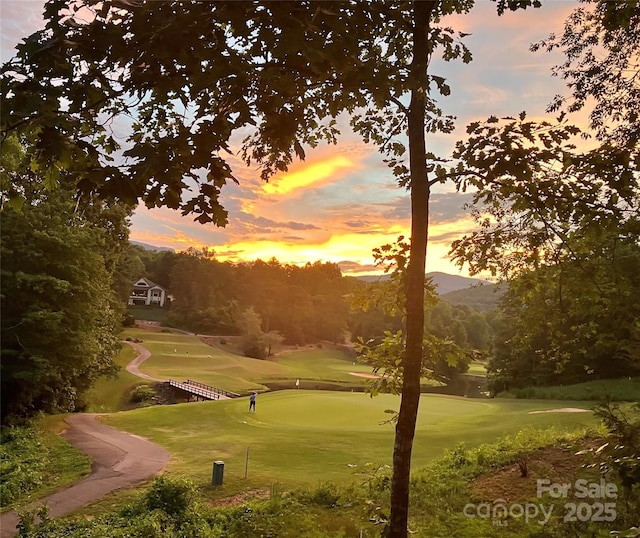 156 Sheepnose Dr, Lake Lure, NC 28746 - surrounding community with golf course view, a mountain view, and a lawn