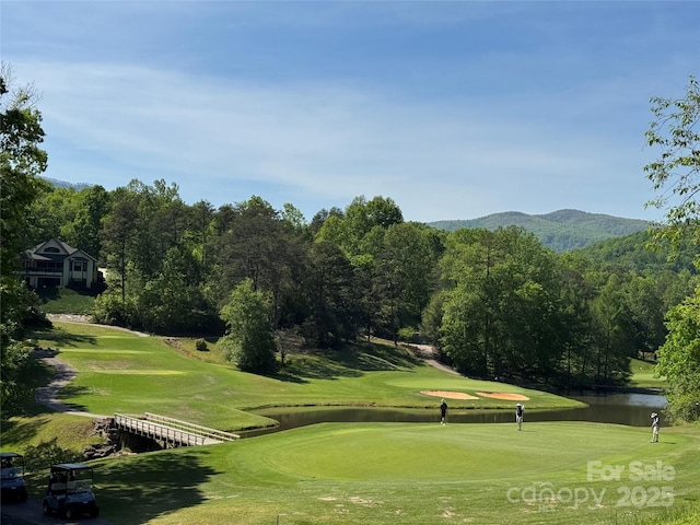 156 Sheepnose Dr, Lake Lure, NC 28746 - photo 3