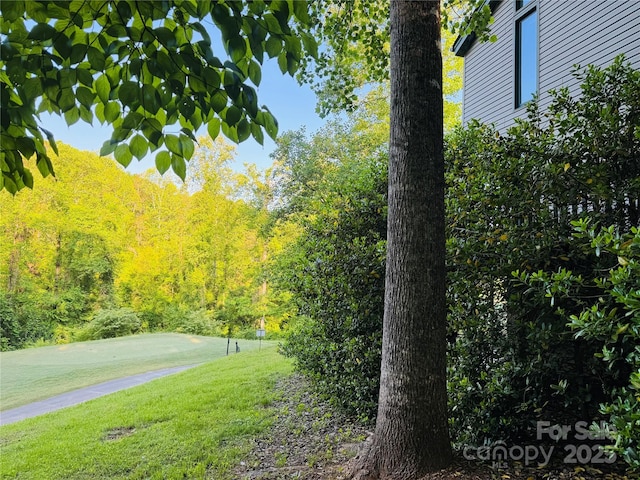 156 Sheepnose Dr, Lake Lure, NC 28746 - photo 4