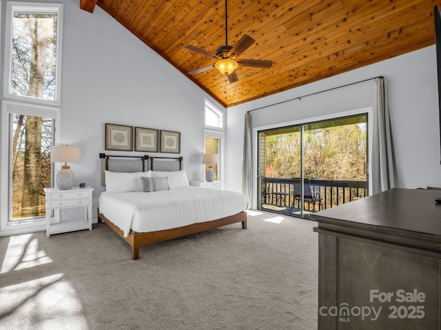 156 Sheepnose Dr, Lake Lure, NC 28746 - photo 25