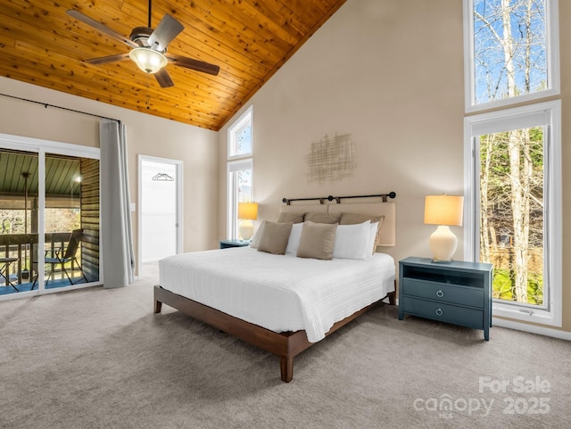156 Sheepnose Dr, Lake Lure, NC 28746 - photo 27