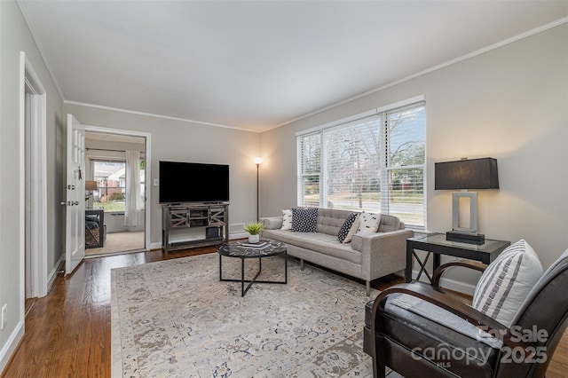 living room featuring wood finished floors, baseboards, and ornamental molding