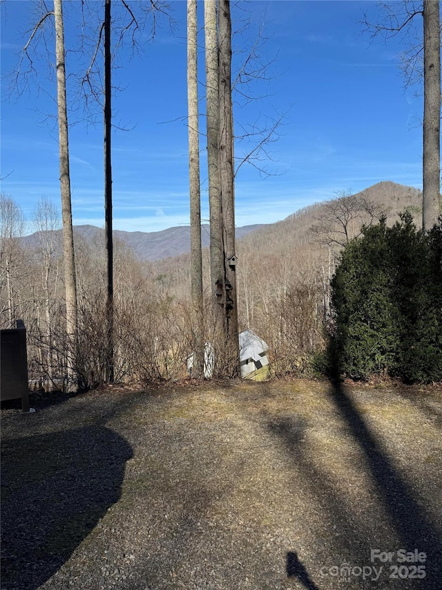 view of yard featuring a mountain view