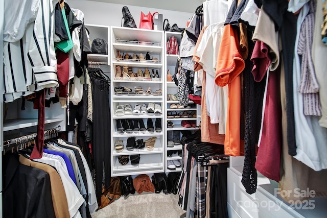 spacious closet with carpet floors