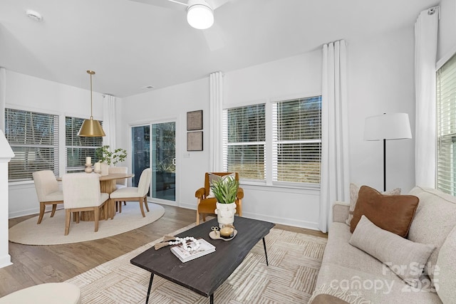 living room featuring plenty of natural light, a ceiling fan, and wood finished floors