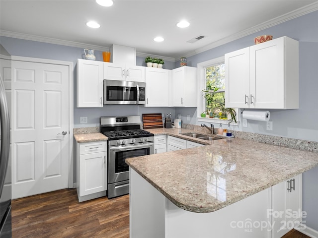 kitchen with a peninsula, crown molding, appliances with stainless steel finishes, and a sink