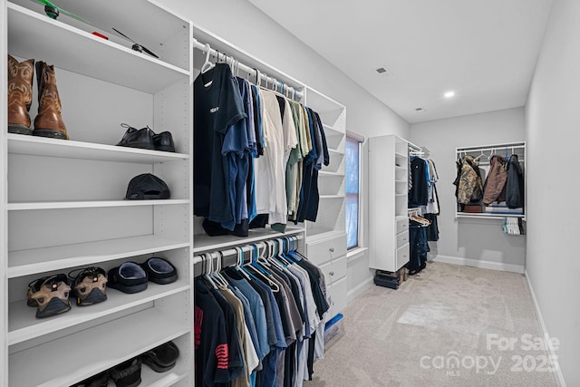 walk in closet featuring carpet floors